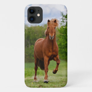 Isländische Pony in einem Tölt Funny Foto Pferdefr Case-Mate iPhone Hülle