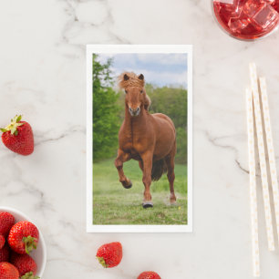 Isländische Pony Runs Tölt Funny Foto Horse Lieb Serviette