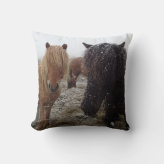 Isländische Ponys, isländische Pferde im Schneekis Kissen