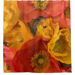 Isländische Poppies Duschvorhang