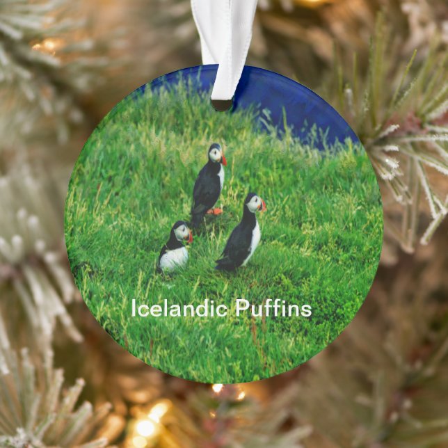 Isländische Puffen im Sommer Ornament (Baum)
