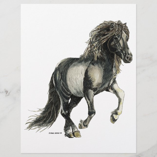 Isländische Stute Brana (Vorderseite)