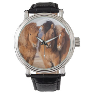 Isländisches Pferd im Winter Armbanduhr