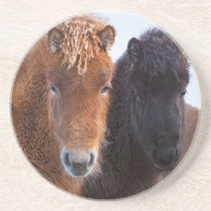 Isländisches Pferd im Winter auf Island Sandstein Untersetzer