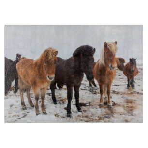 Isländisches Pferd im Winter auf Island Schneidebrett