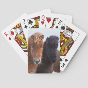 Isländisches Pferd im Winter auf Island Spielkarten