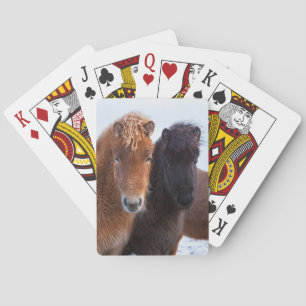 Isländisches Pferd im Winter auf Island Spielkarten