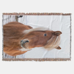 Isländisches Pferd im Winter Decke