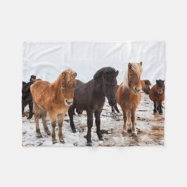 Isländisches Pferd im Winter Island Fleecedecke (Vorderseite (Horizontal))