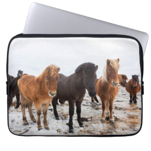 Isländisches Pferd im Winter Island Laptopschutzhülle