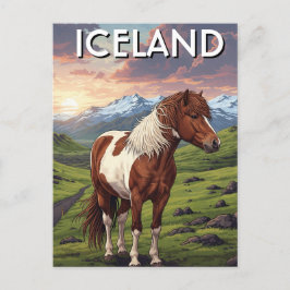 Isländisches Pferd in Island Postkarte