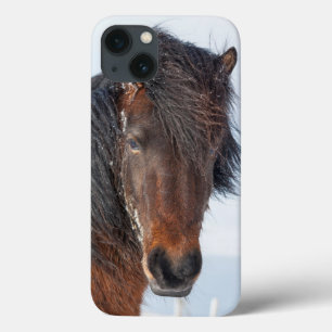 Isländisches Pferd Kopfportrait iPhone 13 Hülle