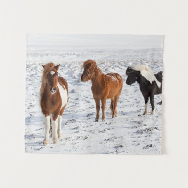 Isländisches Pferd mit typischer Wintermütze Wandteppich (Vorderseite (Horizontal))