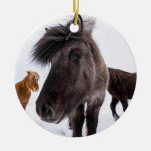 Isländisches Pferd-Potrait, Island Keramikornament