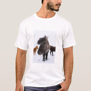 Isländisches Pferd-Potrait, Island T-Shirt