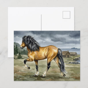 Isländisches Pferd Stormur am Meer Postkarte