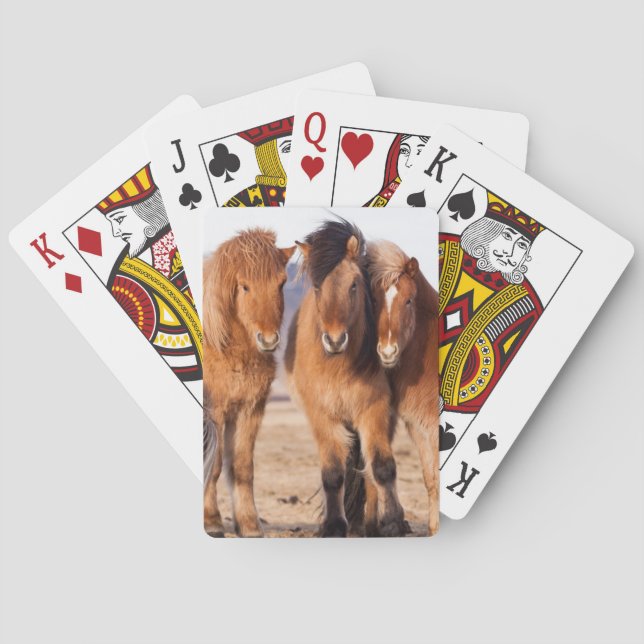 Isländisches Pferd während des Winters Spielkarten (Rückseite)