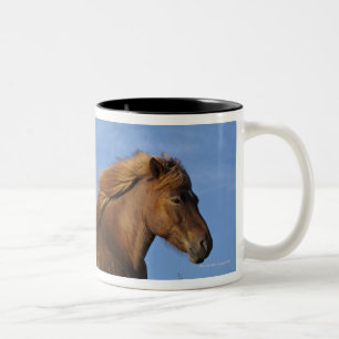 Isländisches Pferdestillstehen und -himmel Zweifarbige Tasse