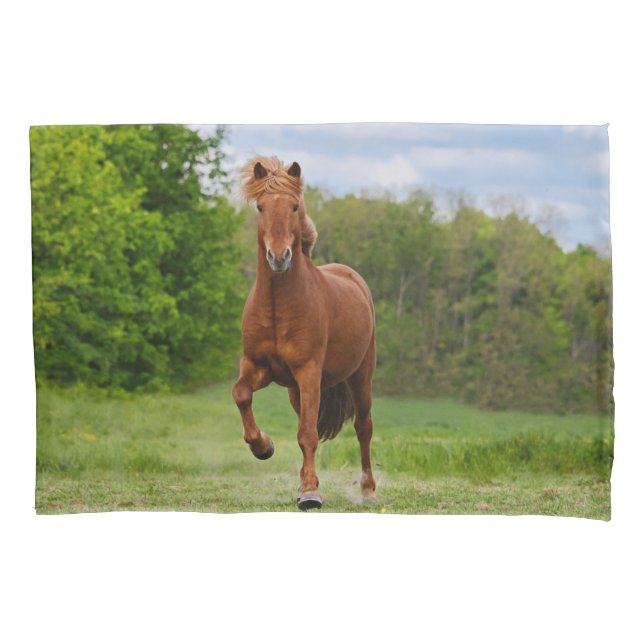 Isländisches Pony Tölt an den lustigen Kissenbezug (Vorderseite)