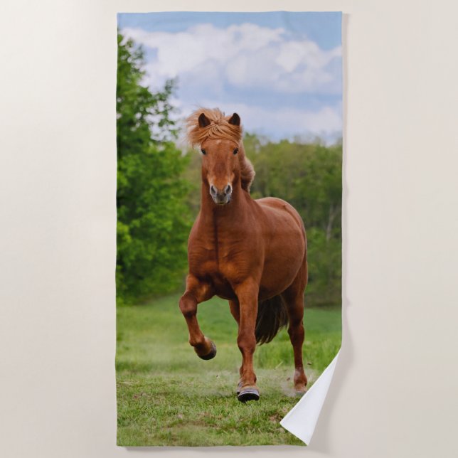 Isländisches Pony Tölt an den lustigen Strandtuch (Vorderseite)