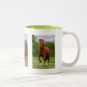 Isländisches Pony Tölt an den lustigen Zweifarbige Tasse