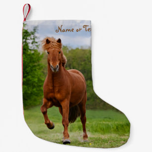Isländisches Pony Tölt lustiges Foto-Pferd - Nam Kleiner Weihnachtsstrumpf