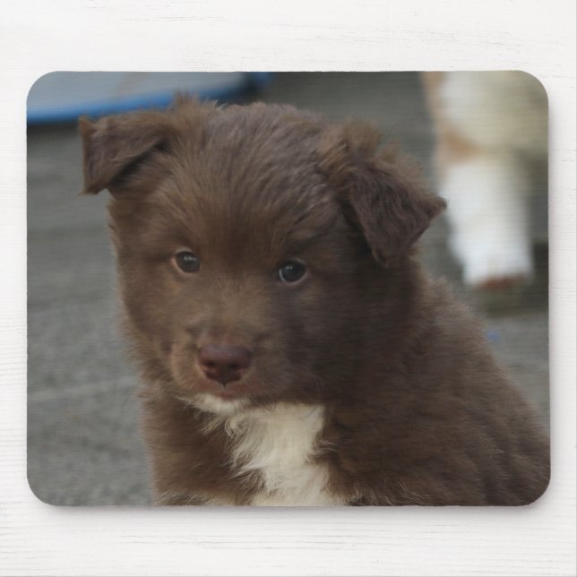 IsländischSheepdog_20171202_by_JAMFoto Mousepad (Vorne)