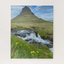 Islands Wasserfall und Berge mit Blume