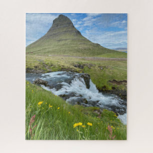 Islands Wasserfall und Berge mit Blume 