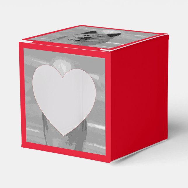 IslandSheepdog20151203 Geschenkschachtel (Vorderseite)