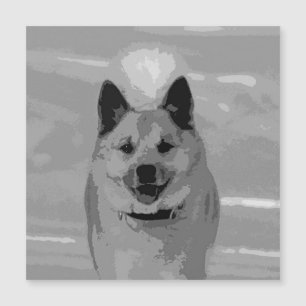 IslandSheepdog20151203 Magnetkarte