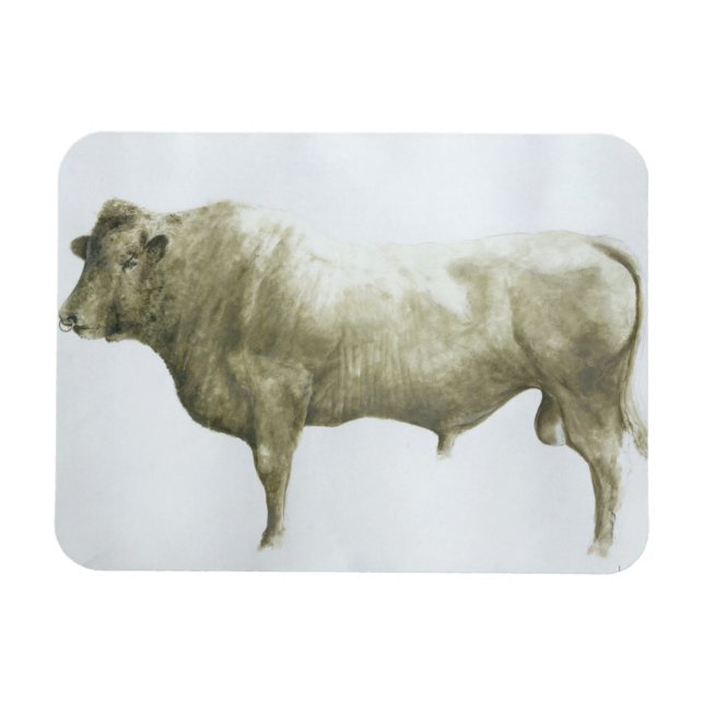 Islay Bull 2004 Magnet (Horizontal)