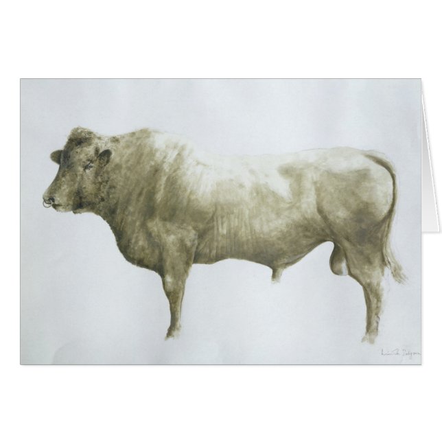 Islay Stier 2004 (Vorderseite (Horizontal))