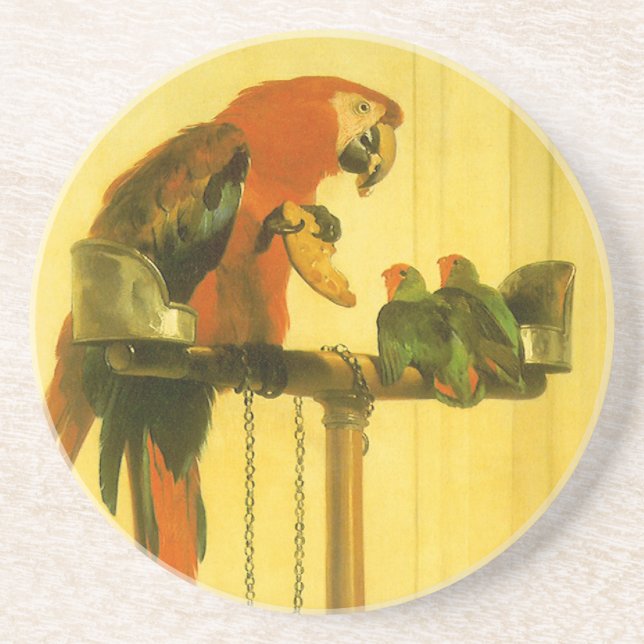 Islay, Tilco, a Macaw and Love Birds by Landseer Getränkeuntersetzer (Vorne)