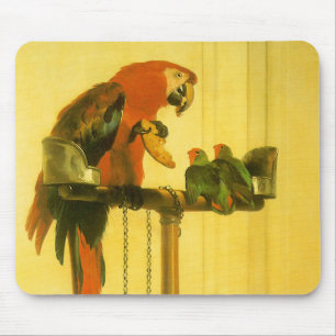 Islay, Tilco, a Macaw and Love Birds by Landseer Mousepad