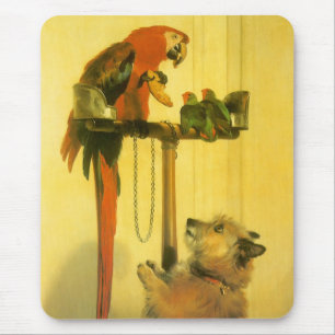 Islay, Tilco, a Macaw and Love Birds by Landseer Mousepad