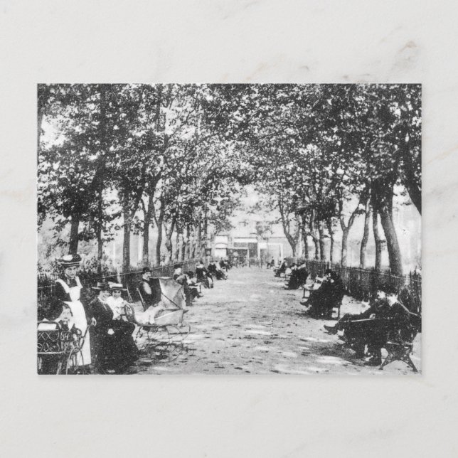 Islington Green, c.1900 Postkarte (Vorderseite)