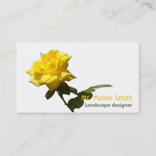Isola Gelbe Rose - Vorlage Visitenkarte