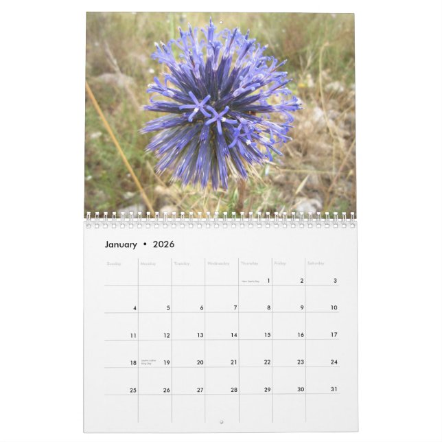 Israel Kalender (Jan 2026)