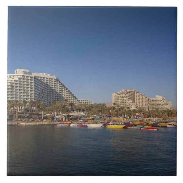 Israel, Negev, Eilat, Rotes Meer Fliese (Vorderseite)