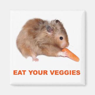 Iss deine Veggies Magnet