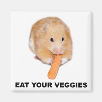 Iss deine Veggies Magnet