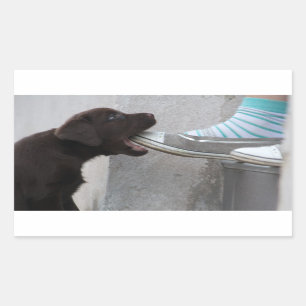 Iss meinen Schuh! Labrador Puppy Rechteckiger Aufkleber