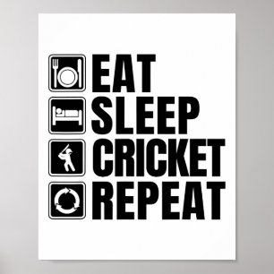 Iss Schlafen Cricket Wiederholen Lustiges Cricket- Poster
