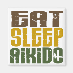 Iss Sleep Aikido 1 Magnet