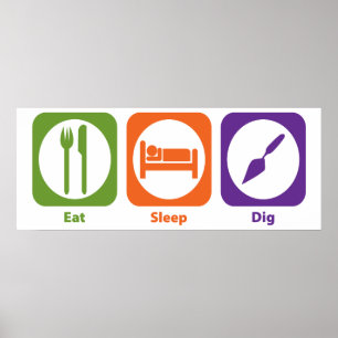 Iss Sleep Dig Poster