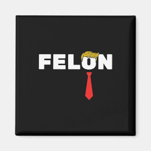 Ist ein Felon Trump 2024 Wahl Amerikaner Magnet