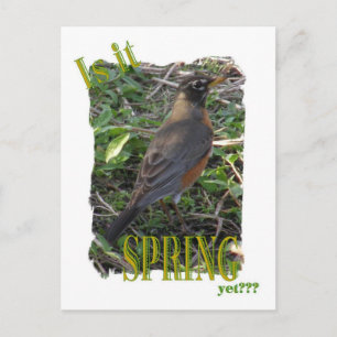 Ist es Frühling? Postkarte