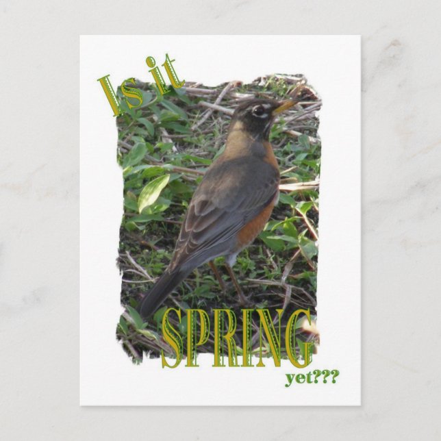 Ist es Frühling? Postkarte (Vorderseite)