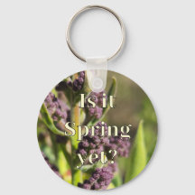 Ist es schon Frühling? Fliederknospen